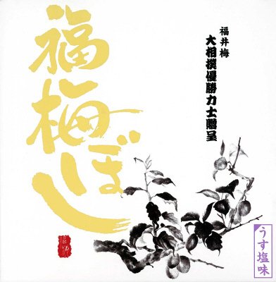 うす塩味福梅ぼし大粒650g