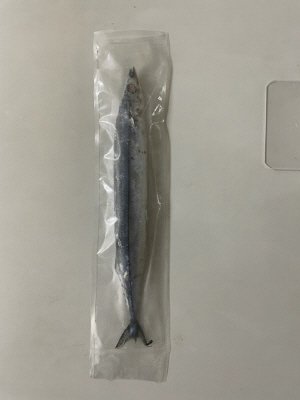 北海道産塩さんま（有頭）