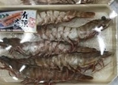 天然有頭えび