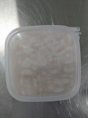 白えび刺身