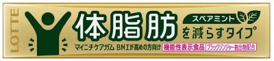 マイニチケアガム＜体脂肪を減らすタイプ＞