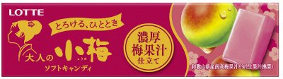 大人の小梅＜濃厚梅果汁仕立て＞