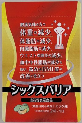 シックスバリア