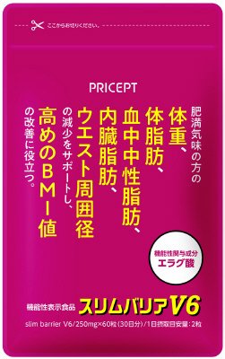 スリムバリアＶ６