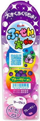 ふ～せんの実＜ブルーベリー＞
