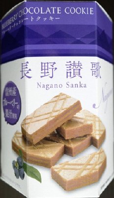 長野讃歌（15個）