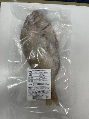 明石産天然真鯛（下処理済）