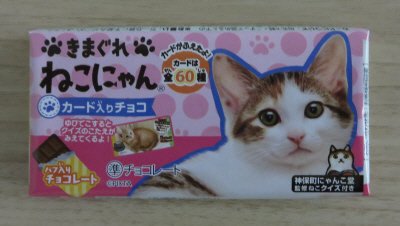 きまぐれねこにゃん