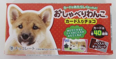 おしゃべりわんこ