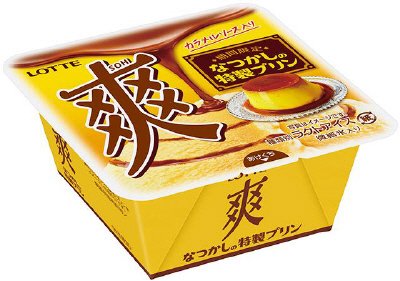 爽　なつかしの特製プリン