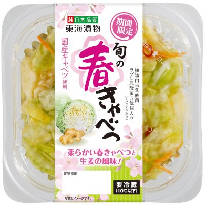 旬の春きゃべつ