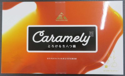 生八つ橋　きゃらめりぃ
