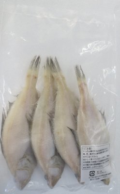 山陰産エテカレイ一汐干