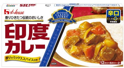印度カレー辛口