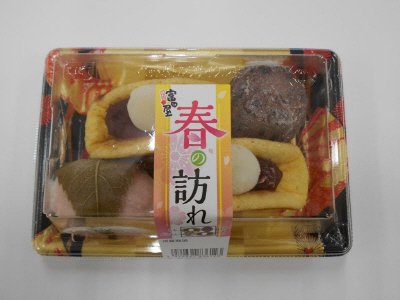 春の訪れ