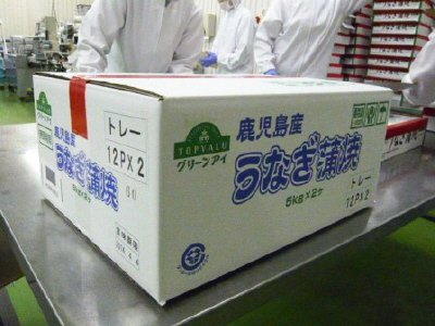 鰻蒲焼無頭長焼（真空包装）トレー入り