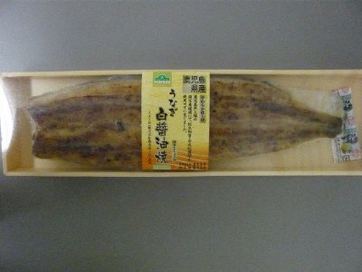 鹿児島県産うなぎ白醤油焼真空ﾊﾟｯｸ(90尾ｻｲｽﾞ)