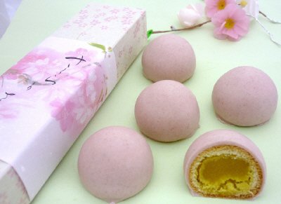 littleリトル　桜がさいた