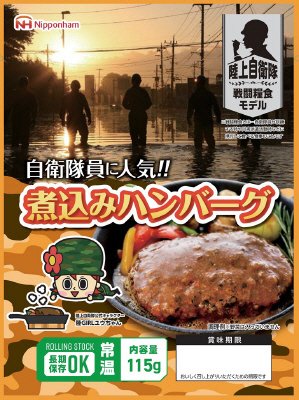 煮込みハンバーグ