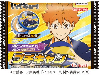 ハイキュー！！プチキャン