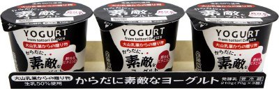 からだに素敵なヨーグルト