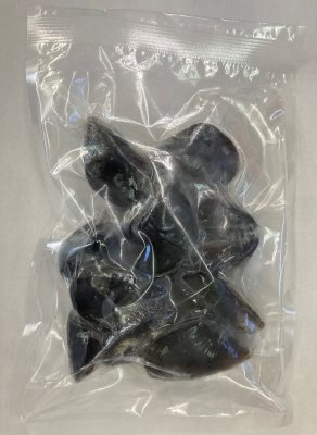 鳥羽産ムール貝