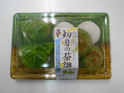初夏の茶畑