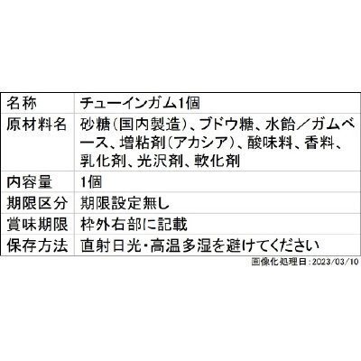 ポケモンキッズ パルデア地方編