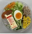 国産野菜のサラダうどん