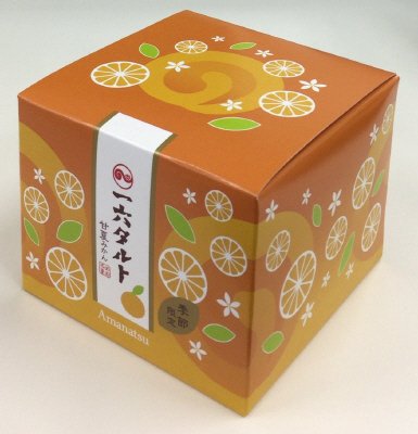 ひと切れ一六タルト甘夏みかん