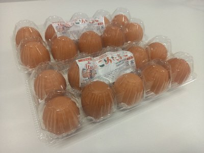 広島のこめたまご１０個×２