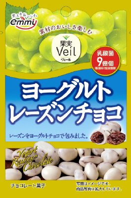 果実Veil　ヨーグルトレーズンチョコ
