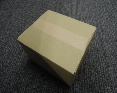 元祖手羽先唐揚風来坊 手羽カレー