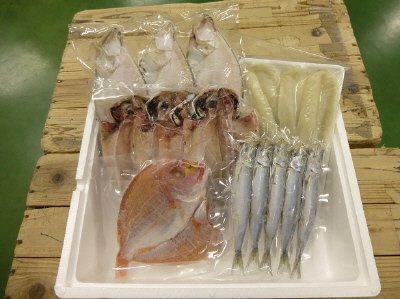 真ふぐ一汐と干物セット YA-7