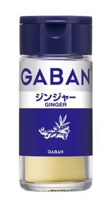 ギャバンジンジャー