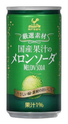 厳選素材メロンソーダ