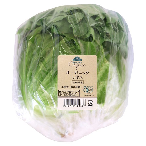 宮崎県産 オーガニック レタス