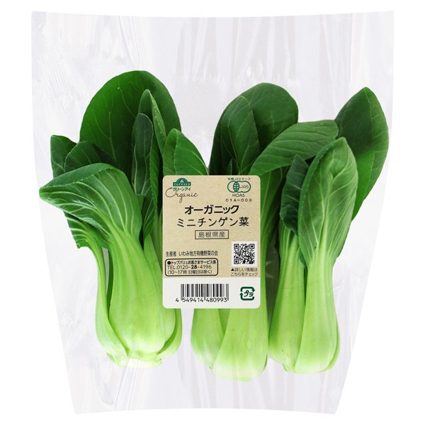 島根県産 オーガニック ミニチンゲン菜