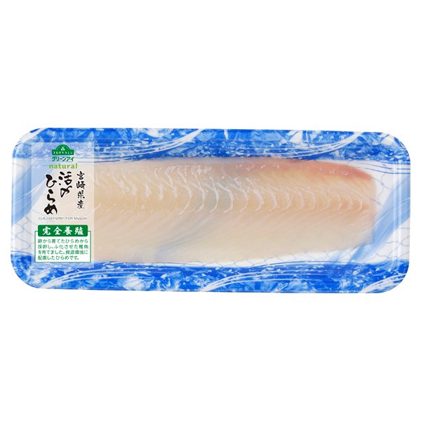 宮崎県産 完全養殖ひらめ