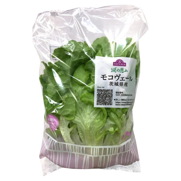 減の恵み モコヴェール