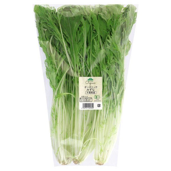 千葉県産 オーガニック みずな