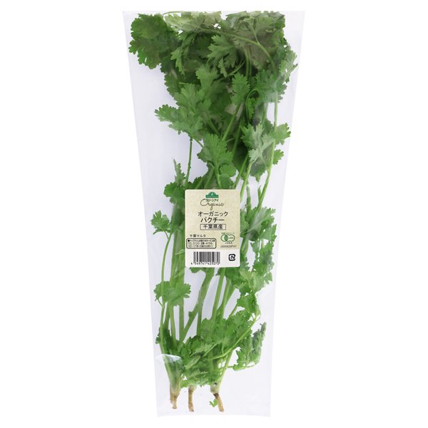 千葉県産 オーガニック パクチー