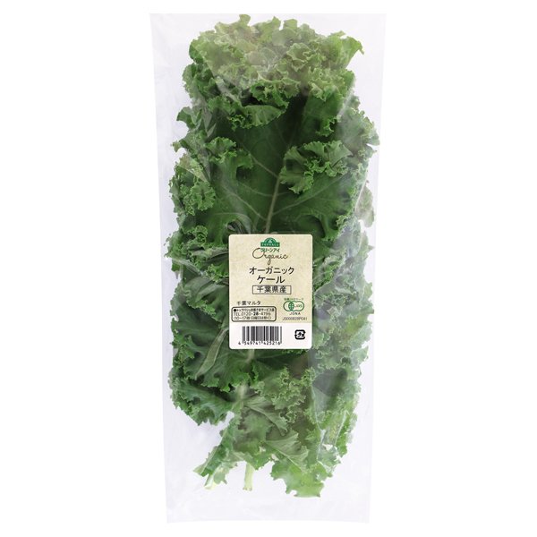 千葉県産 オーガニック ケール