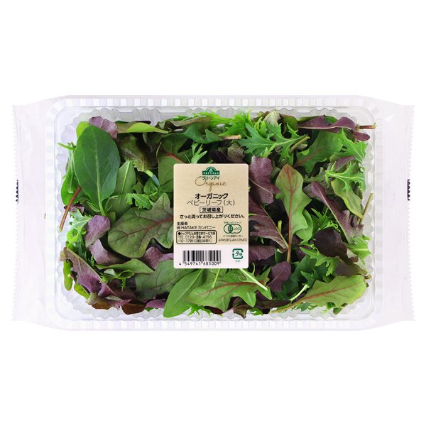 茨城県産 オーガニックベビーリーフ