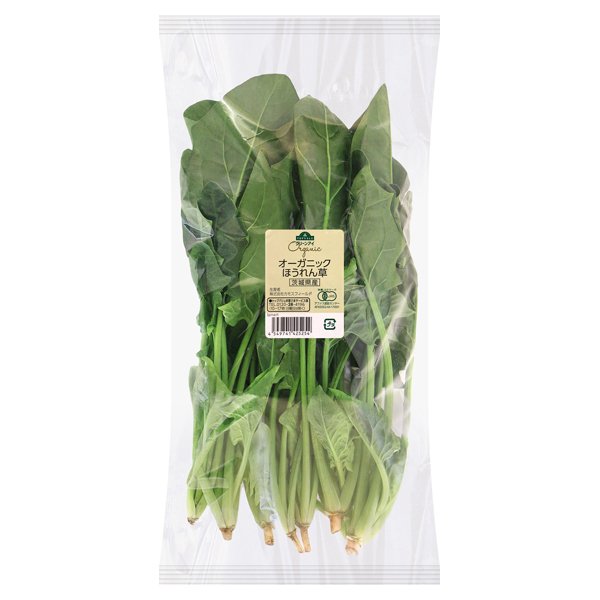 茨城県産 オーガニック ほうれん草