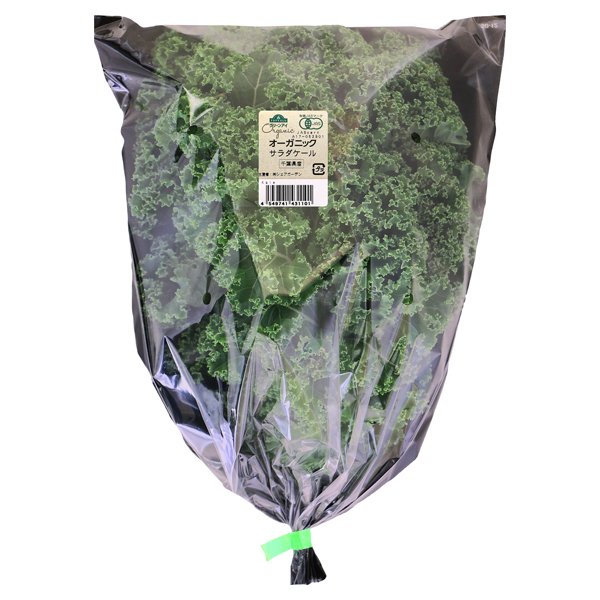 千葉県産 オーガニック サラダケール