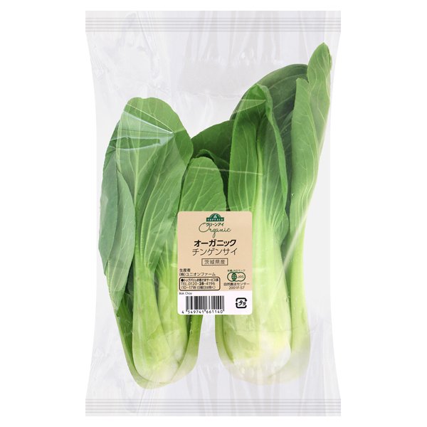 茨城県産 オーガニック チンゲンサイ