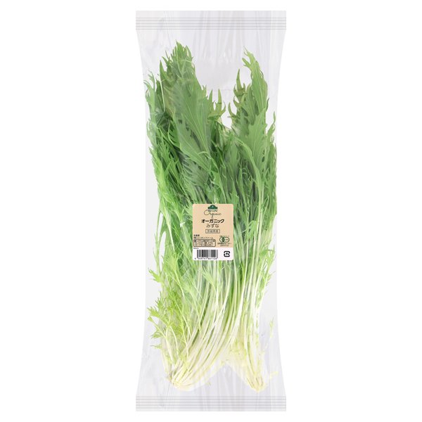 茨城県産 オーガニック みず菜