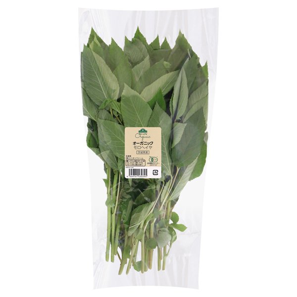 茨城県産 オーガニックモロヘイヤ