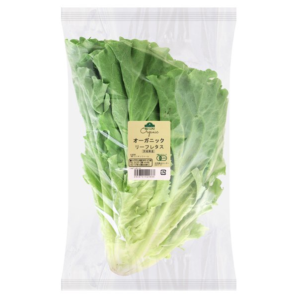 茨城県産 オーガニック リーフレタス